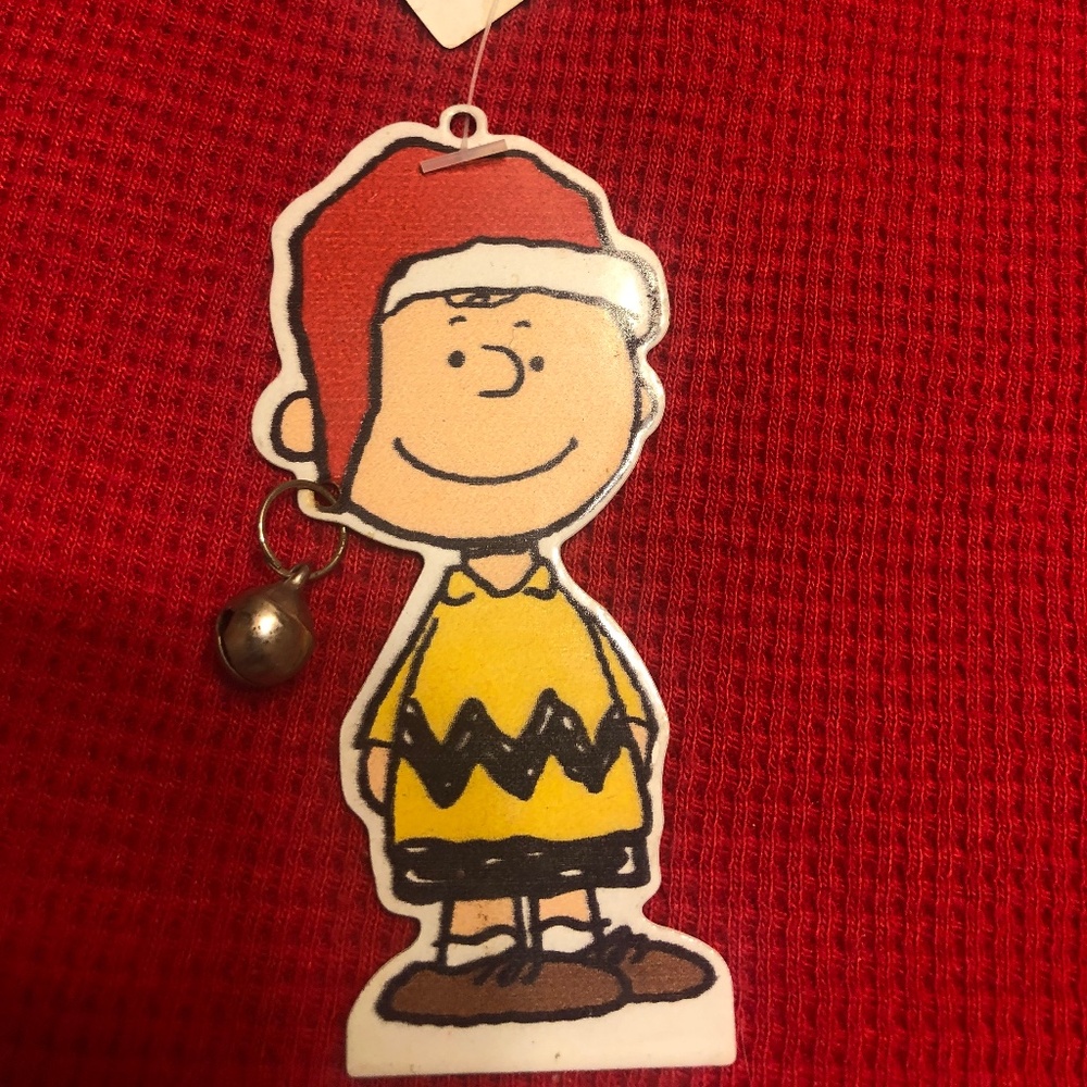 Peanuts Charlie Brown Metal Collector Ornament NWT